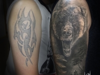 Медведь, cover-up