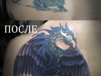 Дракон, cover-up