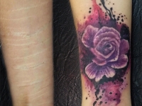 Роза акварель, cover-up